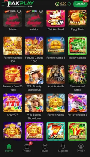 PAKPLAY Game